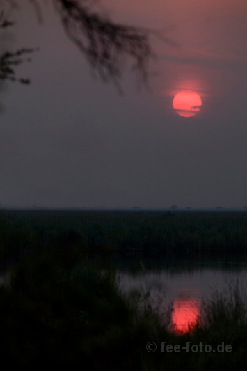 Sunset at Linyanti River